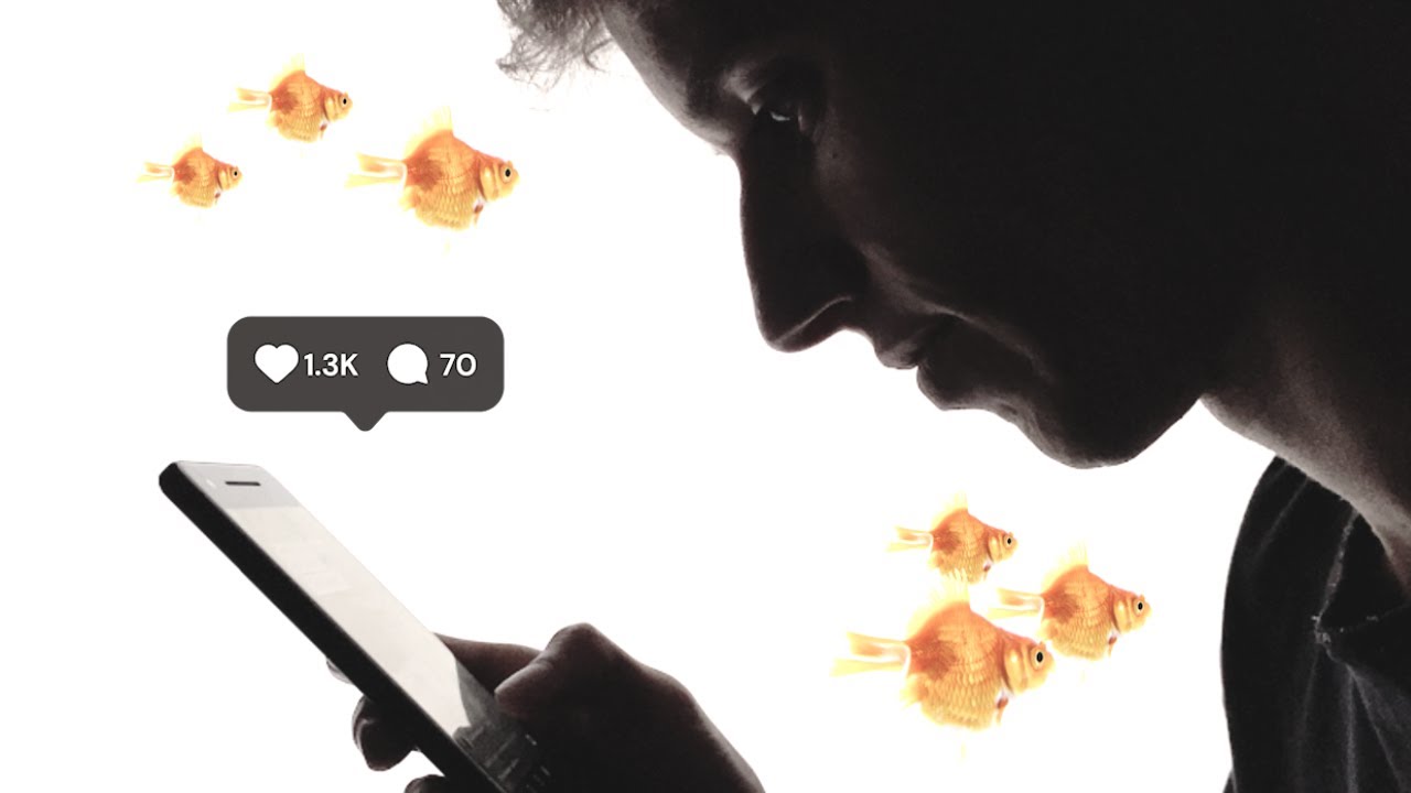 How Instagram is turning millions of people into goldfish.