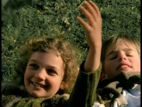 This Boy Is Tocotronic - Tocotronic