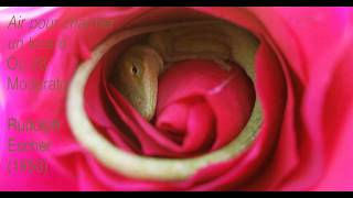 Download lagu Air pour charmer un lezard, Moderato Op 28 by Rudolph Escher (1912~1980) • Ernesto Schmied mp3