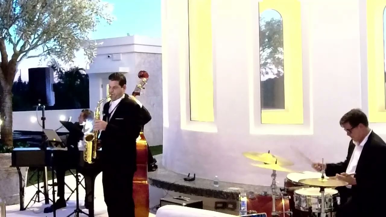 Promotional video thumbnail 5 for Vincent Gold Sax
