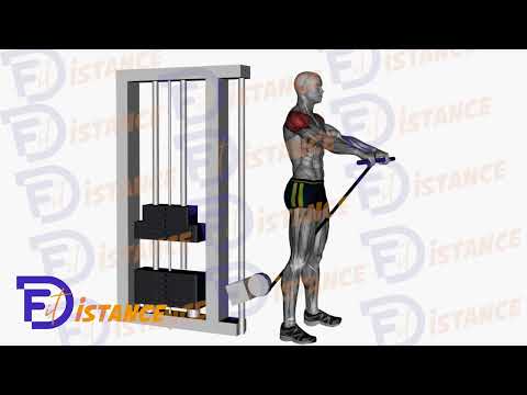 Élévations frontales à la poulie basse avec barre droite - Exercice Élévations frontales à la poulie basse avec barre droite en vidéo