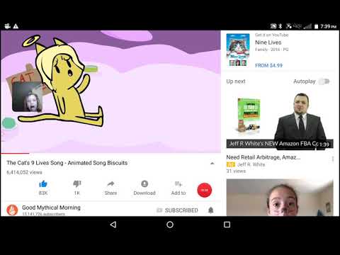 Cats Nine Lives Song