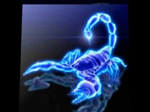 D-shake - L Trip-A-Luna