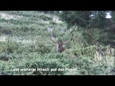 "Hirschbrunft in den Rhodopen"  2. Teil