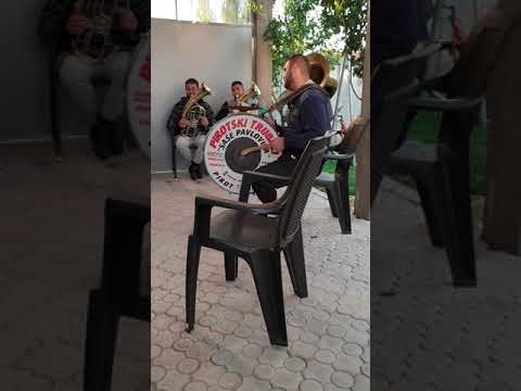 Pirotski trubaci 🎺🎺BRASS BAND🎺🎺