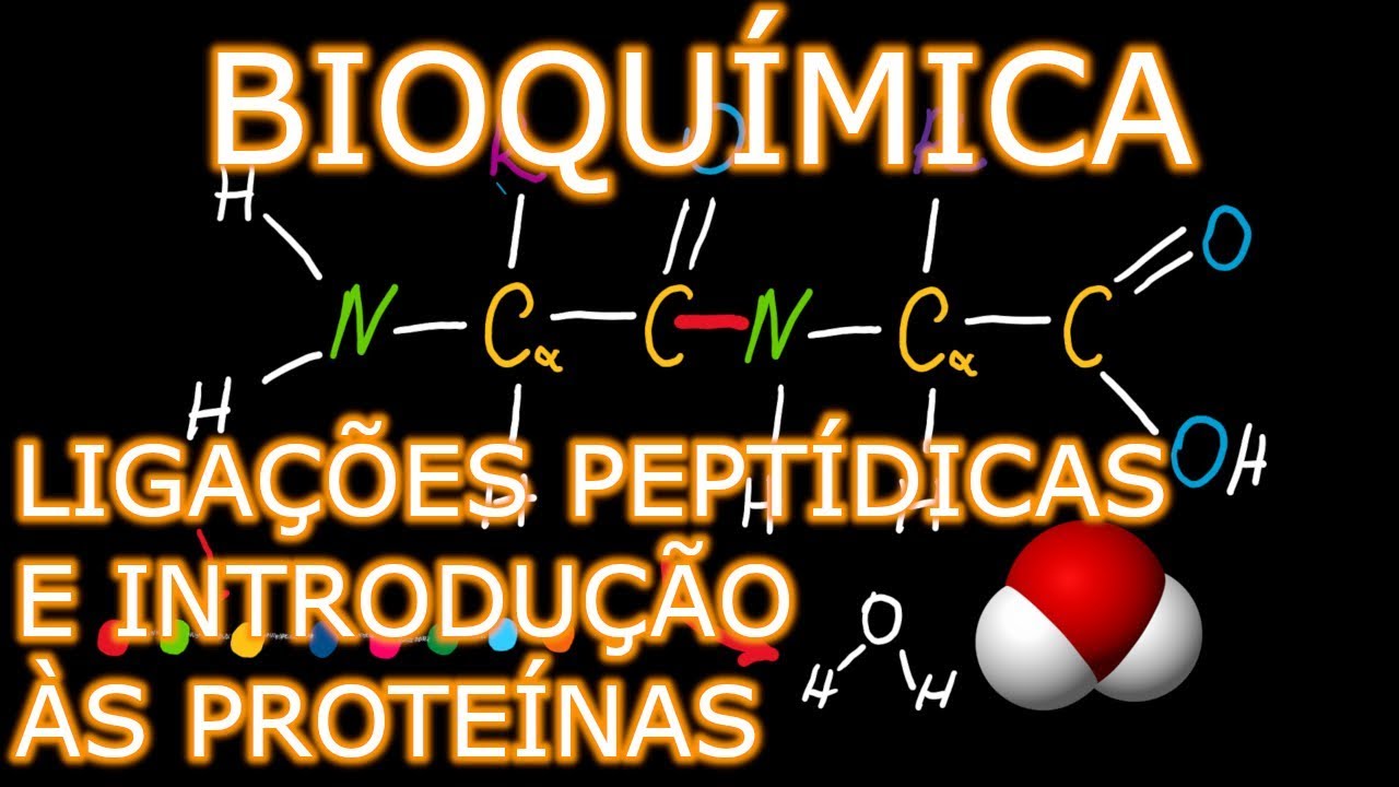 Aula: Bioquímica Médica - Ligações Peptídicas e Introdução às Proteínas | Bioquímica #2