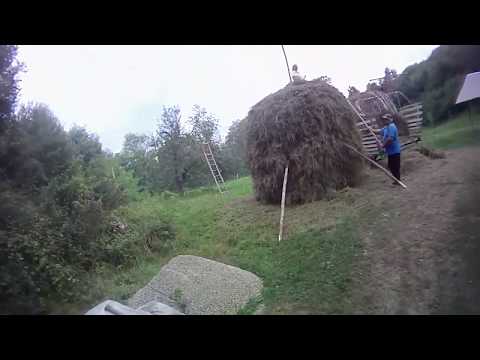 Zlagna Caras Severin