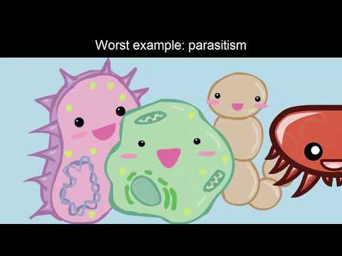 Nyelvi parazita