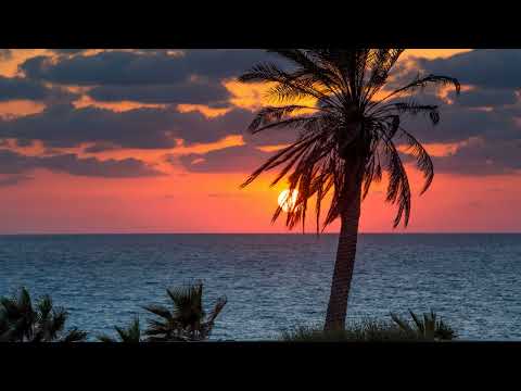 [Free] Calvin harris & Frank Ocean & Funk Wav Bounce Type Beat beat Rap/Trap intrumental 2022