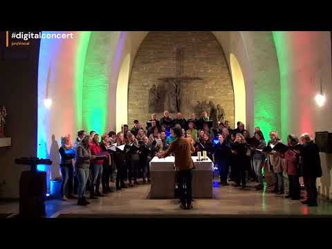 Es ist ein Ros entsprungen - Michael Praetorius - proVocal