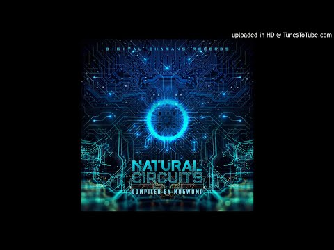 Malinalli vs Wave Force - Alien Charges