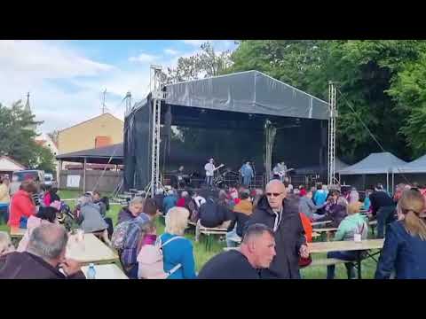 Jak chcete žít bez koní