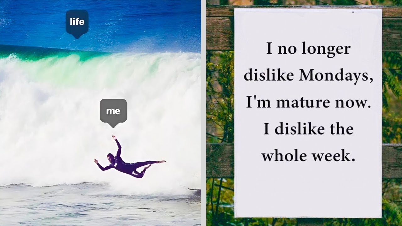 Funny Introvert Memes That Are Better Than Any Party Invite