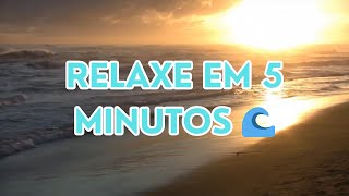 Musica para DORMIR, MEDITAR, ESTUDAR e RELAXAR | SOM de ONDAS do MAR