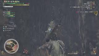 【Monster Hunter Wilds】交わりの祭事　【夢灯の儀】開催　歴戦王エグドラの素材集め【サークル】