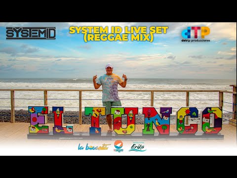 System ID - Live Set (Reggae Mix)