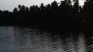 preview picture of video 'Jellyfish In Lake. Kerala'