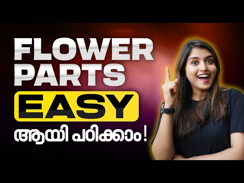 Class 6 Basic Science | Flowering and Fruiting | പൂക്കാം കായ്ക്കും | Flower Parts | Exam Winner