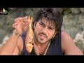 Chirutha Movie Neha Barganing For Fish Scene Ram Charan Neha Sharma Sri Balaji Video