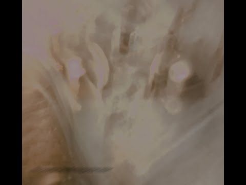 Shitai the Maid - VHS Cassette Demolishing (EP) | Noise, 2020