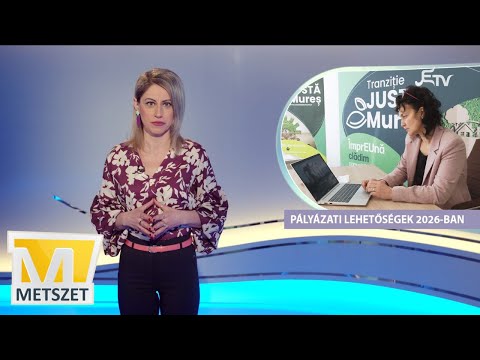 Pályázati lehetőségek 2026-ban – Metszet