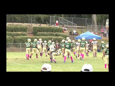9U Grayson AS (Mathews) vs. Dacula AN (3-2, Cox) |10.5.19| Dacula Park