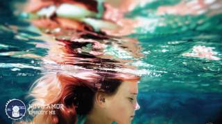 Novo Amor - Embody Me