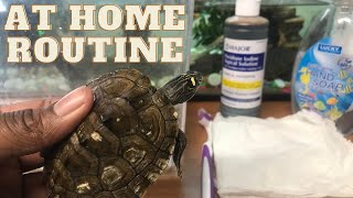 Treating my Turtles Shell Rot for the first time! Easy At home Routine