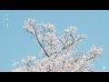 볼빨간사춘기 (BOL4) - 나만, 봄 (Bom) Piano Cover 볼빨간사춘기 (BOL4) - 나만, 봄 (Bom) Piano Cover