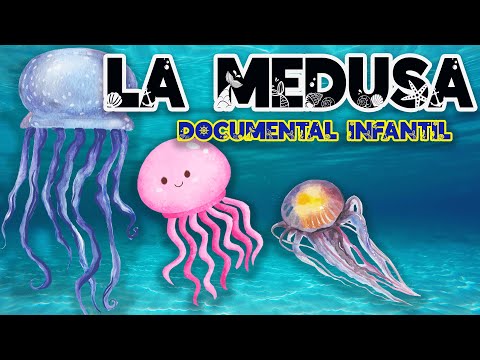 LA MEDUSA 🌊 | Documentales para niños sobre animales | Animales marinos