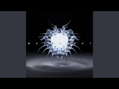 Moonlight