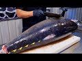 World's Sharpest Tuna Knife！Superb yellowfin Tuna cutting skill, Luxurious sashimi / 最鋒利的刀！黃鰭鮪魚切