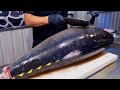 World S Sharpest Tuna Knife Superb Yellowfin Tuna Cutting Skill Luxurious Sashimi 最鋒利的刀 �