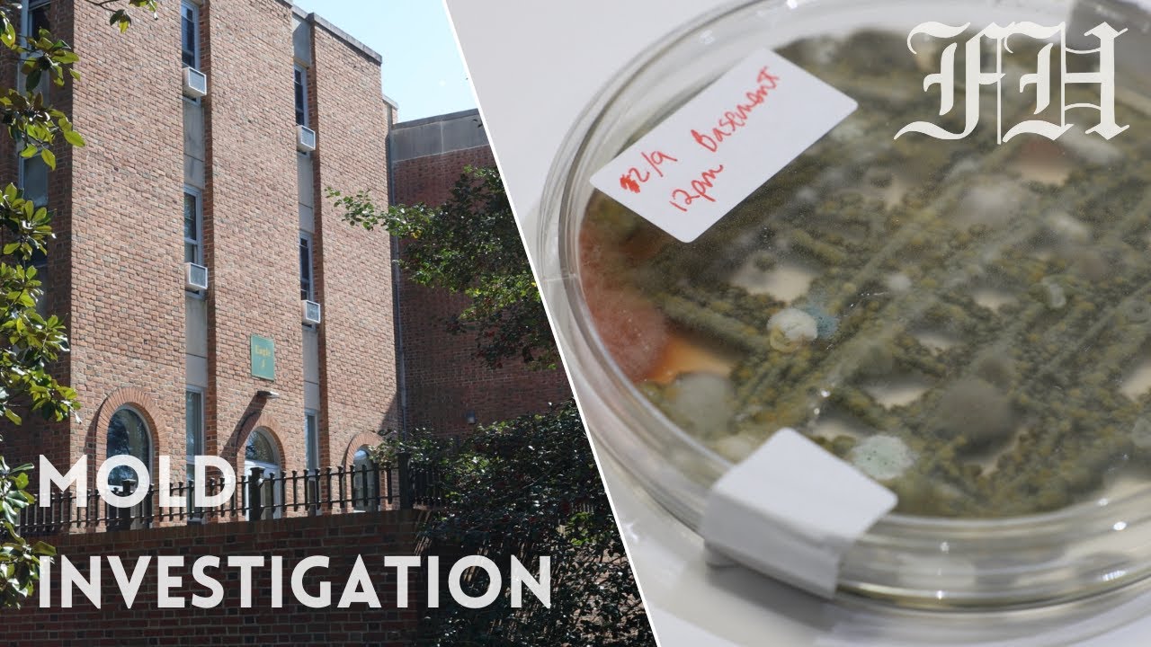 Is There Mold in Green and Gold Village of William & Mary (GGV)?