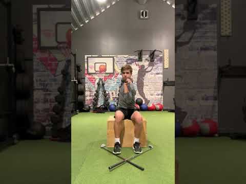 Seated Torso Rotation Test