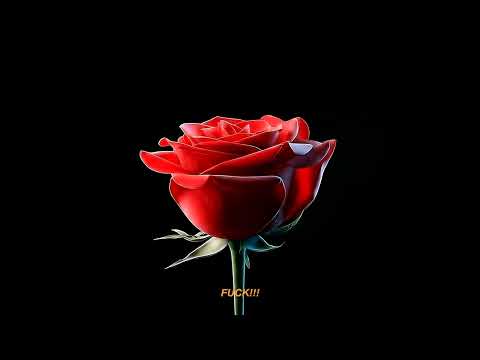 CKay -  say no more (Official Lyric Video)