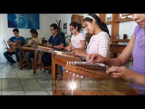 ¡No creerás cómo suena este instrumento mexicano!