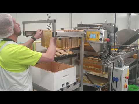 LYSON Premium 40 Extraction Line NZ