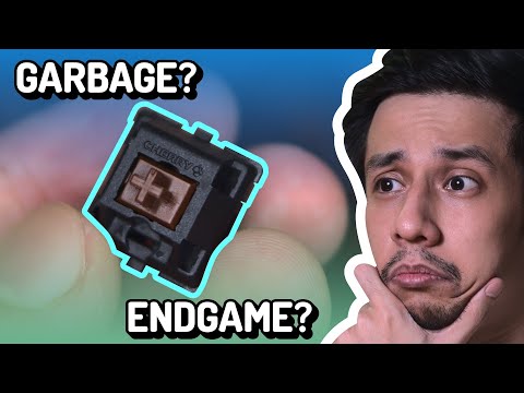 The most (in)famous switch in the keyboard hobby