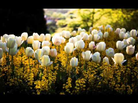 Mehdi Hassan live songs in concert-2