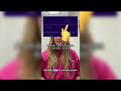 Octopus Flux | Smart tariffs explained