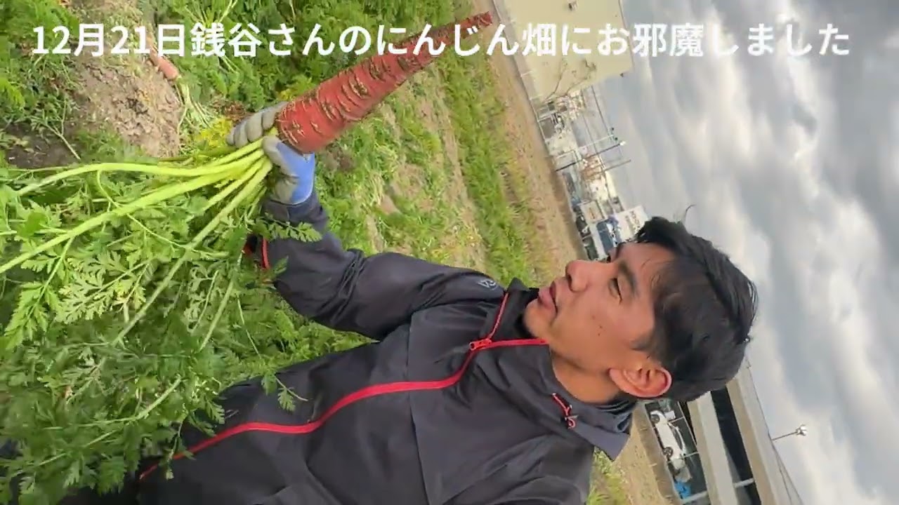 クラウドファンディングプロジェクト:貴重なブランド京野菜を使ったドレッシングで京野菜を広めたい