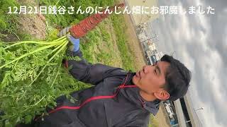 クラウドファンディングプロジェクト:貴重なブランド京野菜を使ったドレッシングで京野菜を広めたい