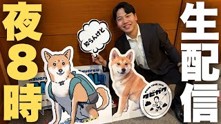 【生配信】花粉症に負けずに近況のご報告など