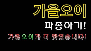[텃밭농부.714]  가을오이 파종하기 #오이재배 #가을오이재배