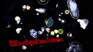 Blackplankton - Wet volumes