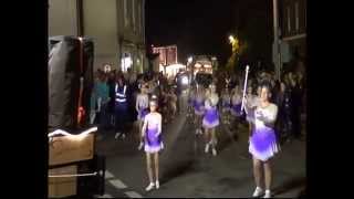 preview picture of video 'Ottery St Mary Carnival 2014 Part 2/3'