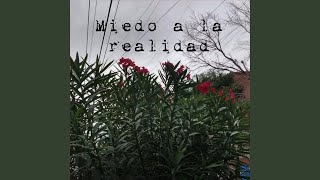 Miedo a la realidad Music Video