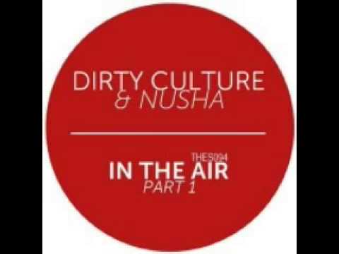 Dirty Culture & Tudor Barbu & Nusha - You Will Be Fine  [TheSounds]