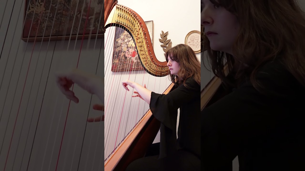 Promotional video thumbnail 4 for Sophia Shedd